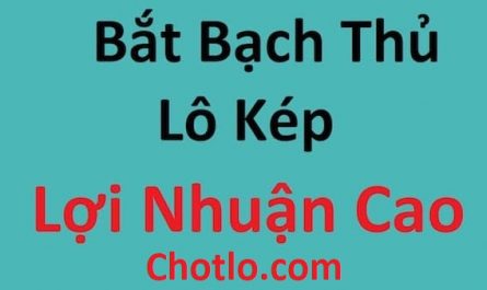 bắt lô kép có 1 không 2 chotlo.com