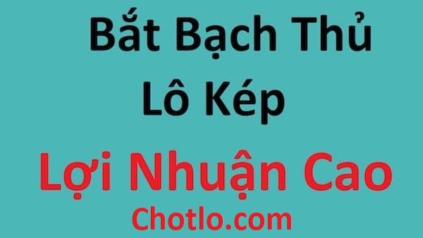 bắt lô kép có 1 không 2 chotlo.com