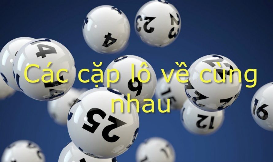 Tham khảo cặp lô về cùng nhau xác suất chính xác 100%